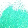 Colours, Paints, Dusts, Glitters & Flavours Barco Flitter Glitter 10ml Aqua
